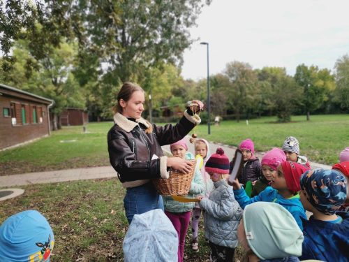 Tekintse meg galériánkat! (1/20)